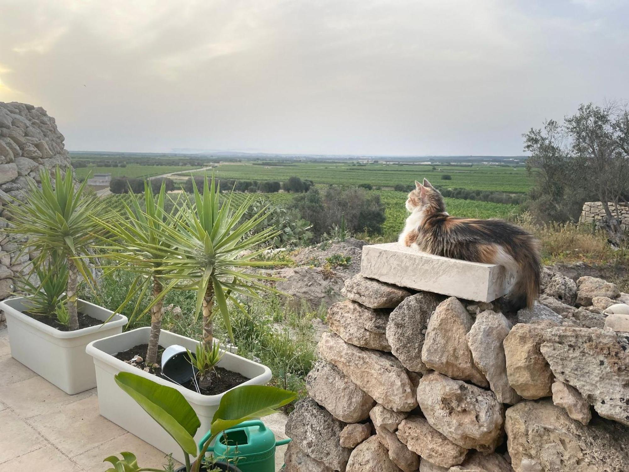 B&B Borgo Monacizzo 외부 사진